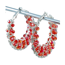 Load image into Gallery viewer, Fashion biz earrings